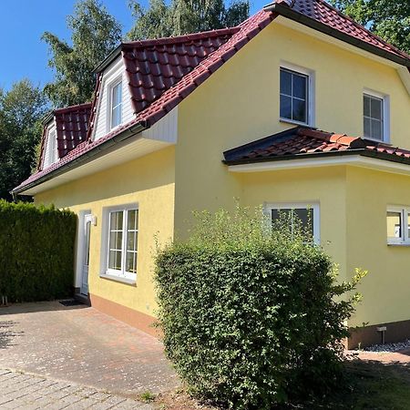 Ferienhaus Strandoase Ostseeheilbad Ostseeheilbad Zingst Exterior foto